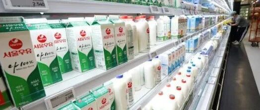 大误区：我乳糖不耐受，牛奶喝了也白喝