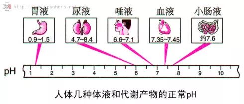 「酸性體質致癌」的始作俑者已經被罰7個億！別再相信了！ 健康 第2張