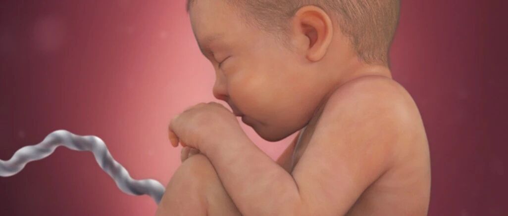 怀孕40周，胎宝宝每周长啥样？这里有国外网站的高清图！太刺激啦！