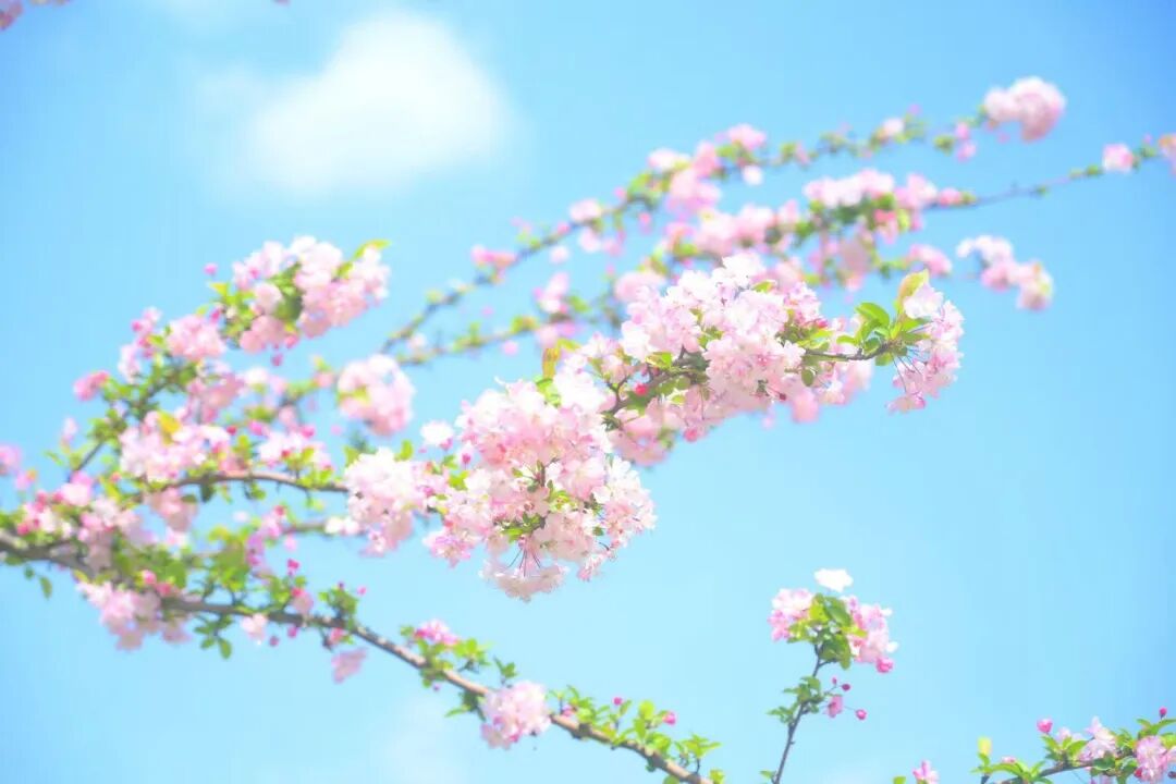 9cf4dbcd19c685760c3b5e2f4312f1e6.jpg