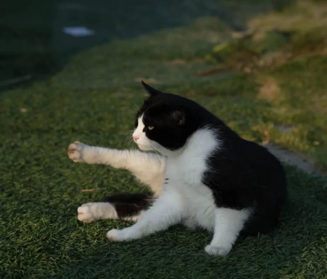 9d48cea355ad9dfbb30400dde414e53a.jpg