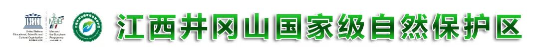 井冈山发现新记录物种－时珍淫羊藿