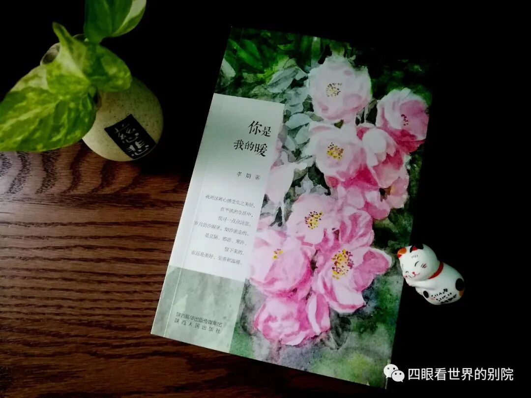 李娟散文集《你是我的暖》出版