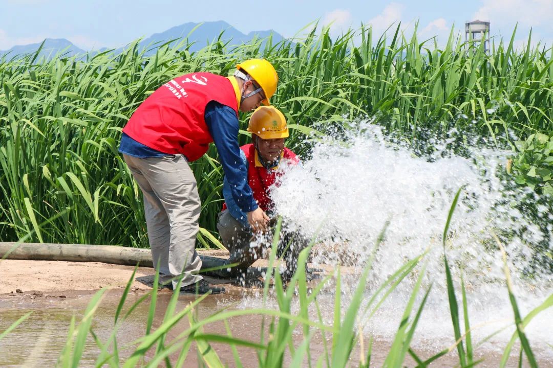 农田汽油浇水机