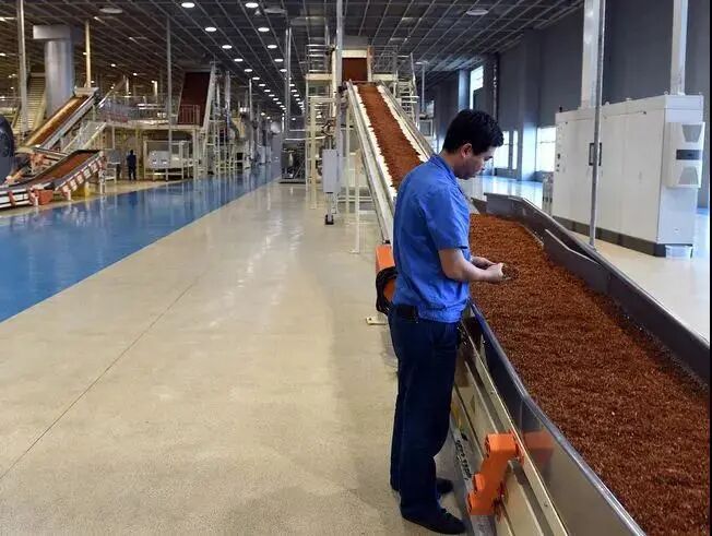 人大毕业生进厂卷香烟？你想象不到，烟草公司有多赚钱