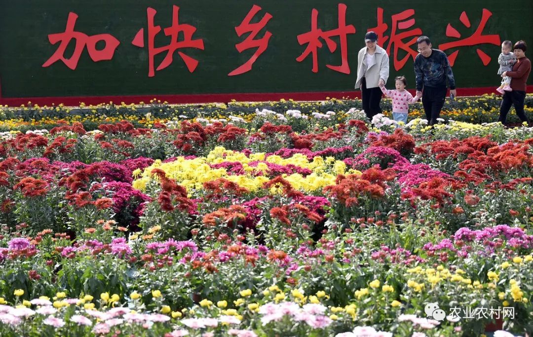 适合农村小镇创业项目 5个最具前景的农村创业项目，最多上亿补贴，适合年轻人！