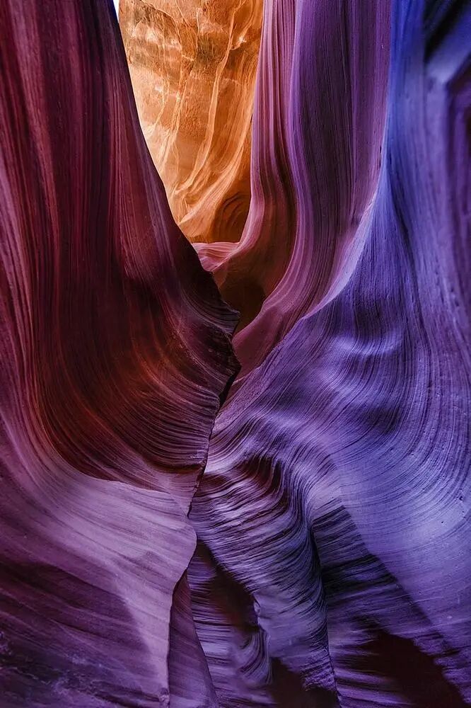 艺术与设计 - 自然界中的抽象美