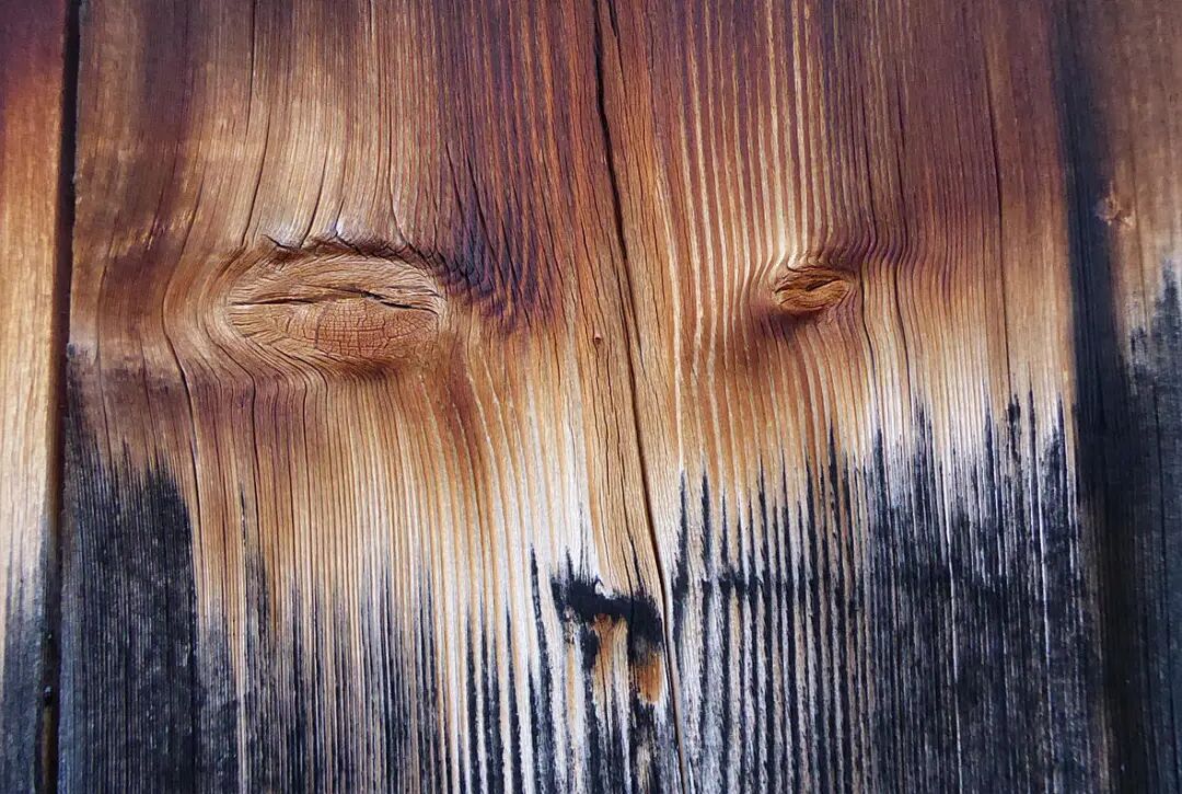 艺术与设计 - 自然界中的抽象美