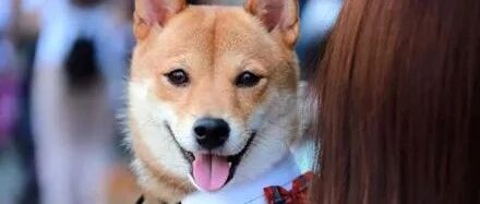 网友捡完便便包起来放车上，过会回来一看，居然被偷了！