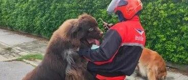 泰国邮差骑车被巨熊强吻，网友一看纷纷表示：冲我来！