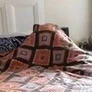 床铺一早诡异隆起，主人好奇走近一看，结果有点哭笑不得！