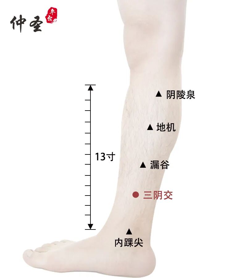 针灸28绝穴，治疗各种疼痛！疗效卓著！（收藏）_仲圣平台元气针灸_新浪博客