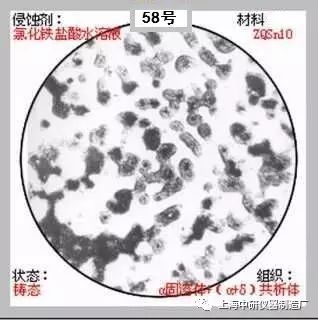 66张典型金相图片的图58
