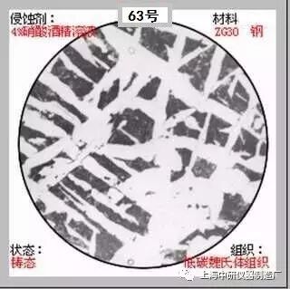 66张典型金相图片的图63