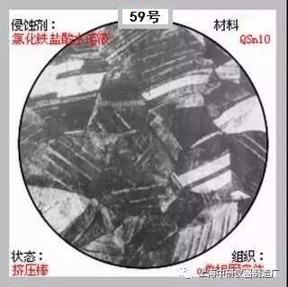 66张典型金相图片的图59