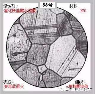 66张典型金相图片的图56