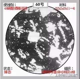 66张典型金相图片的图60