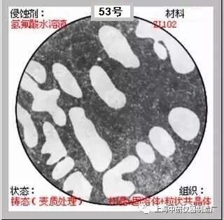 66张典型金相图片的图53