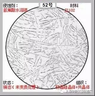 66张典型金相图片的图52