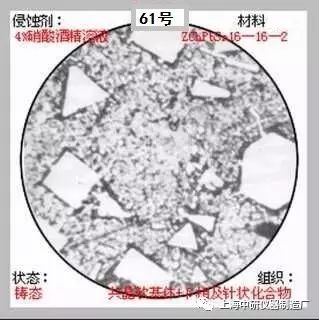 66张典型金相图片的图61