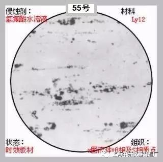66张典型金相图片的图55