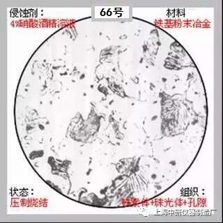 66张典型金相图片的图66