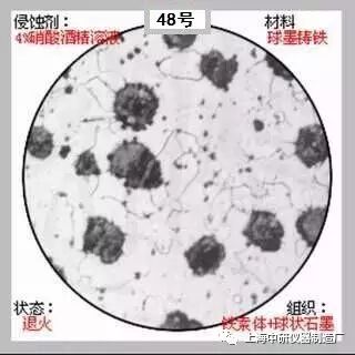 66张典型金相图片的图48