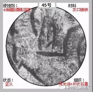 66张典型金相图片的图45