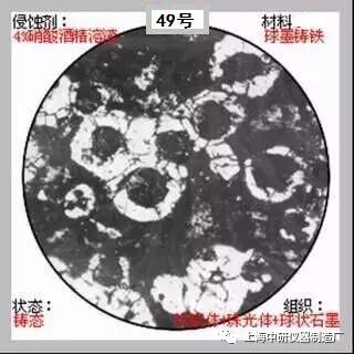66张典型金相图片的图49