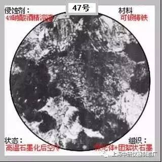 66张典型金相图片的图47