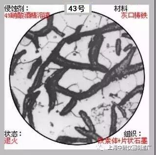 66张典型金相图片的图43