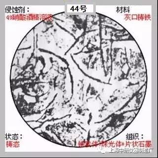 66张典型金相图片的图44