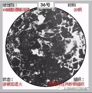 66张典型金相图片的图36