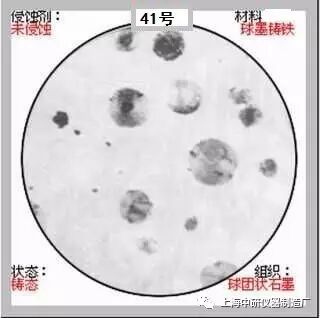 66张典型金相图片的图41