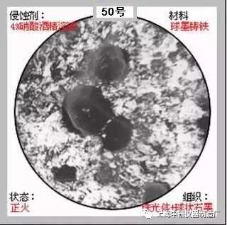 66张典型金相图片的图50