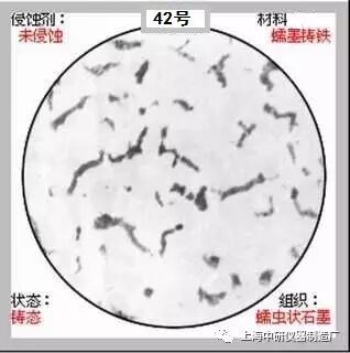 66张典型金相图片的图42