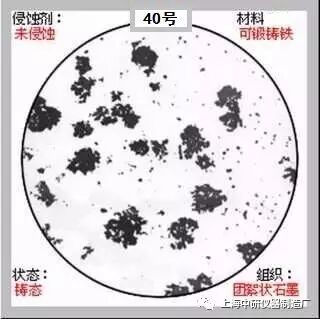 66张典型金相图片的图40