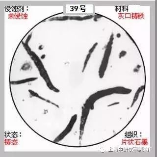 66张典型金相图片的图39