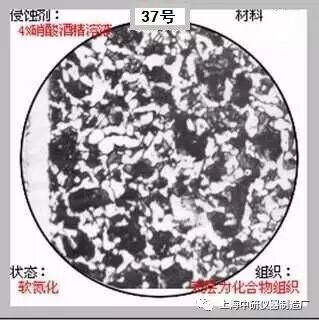 66张典型金相图片的图37