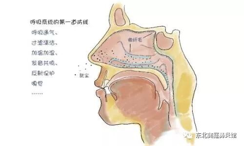 常年鼻息肉的危害是什么？好可怕！！！