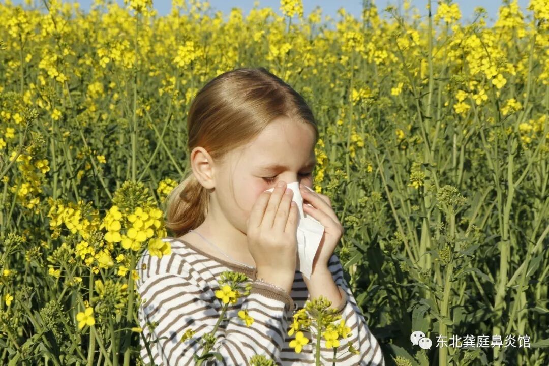 过敏性鼻炎一定要尽早调理，6种并发症个个都是“健康杀手”！