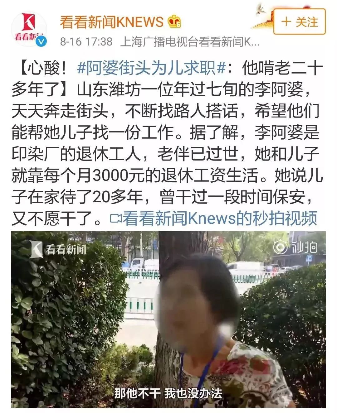 母親給兒子下跪一小時引爆熱搜：窮人富養，是一場巨型謀殺 親子 第11張