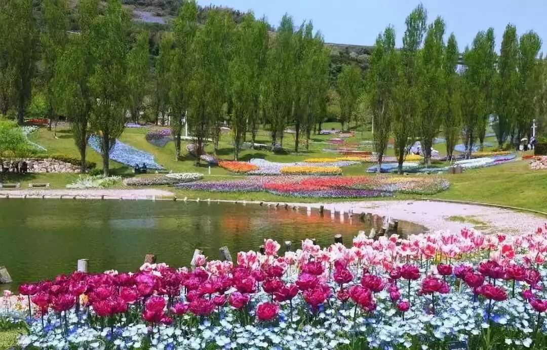 国内外最全矿山修复案例，20+经典项目干货奉上！的图22