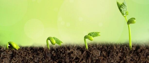 成长有方法，一年抵三年——8个快速成长心法