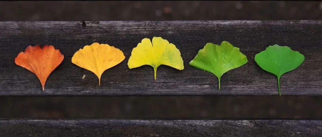 159岁品牌的传统与时尚