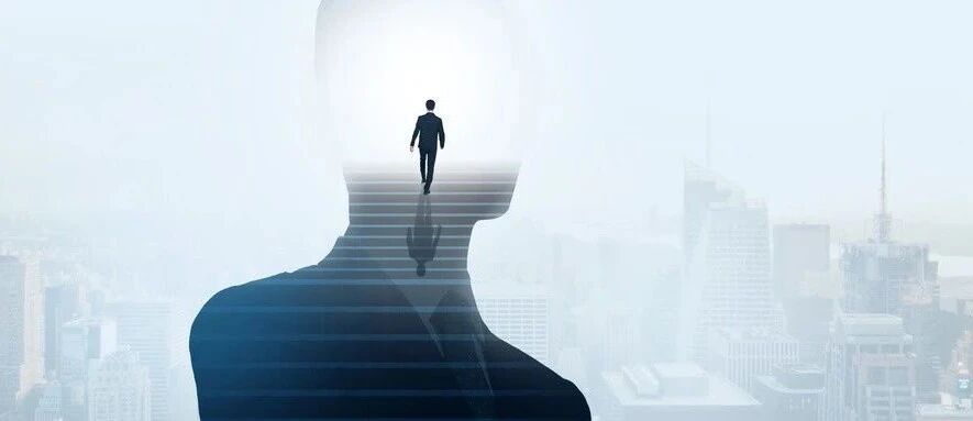 专才与通才，哪条路适合你？