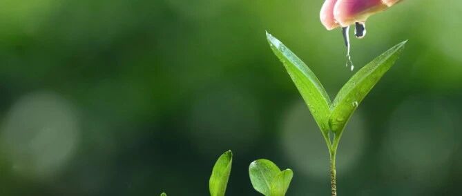 如何判断一个人是否具有管理的潜力？