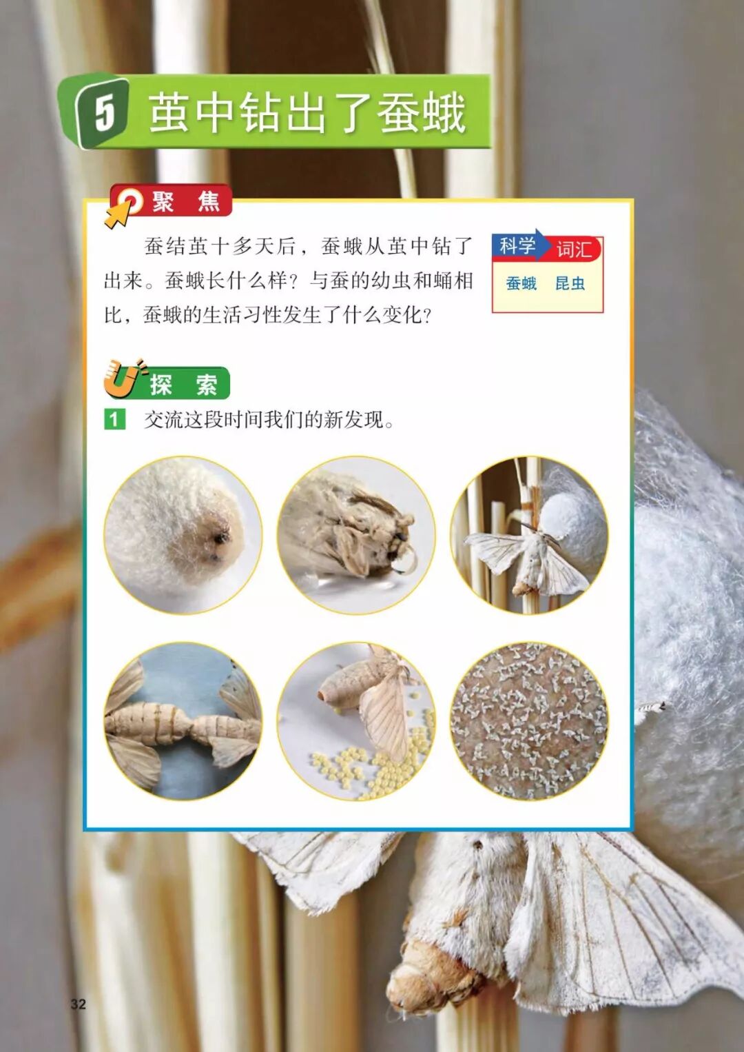 2025教科版科学三年级新教材