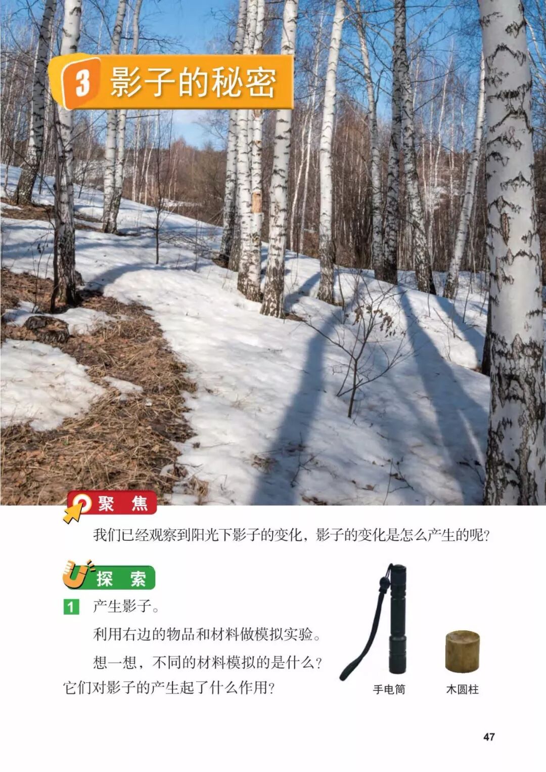 2025教科版科学三年级新教材