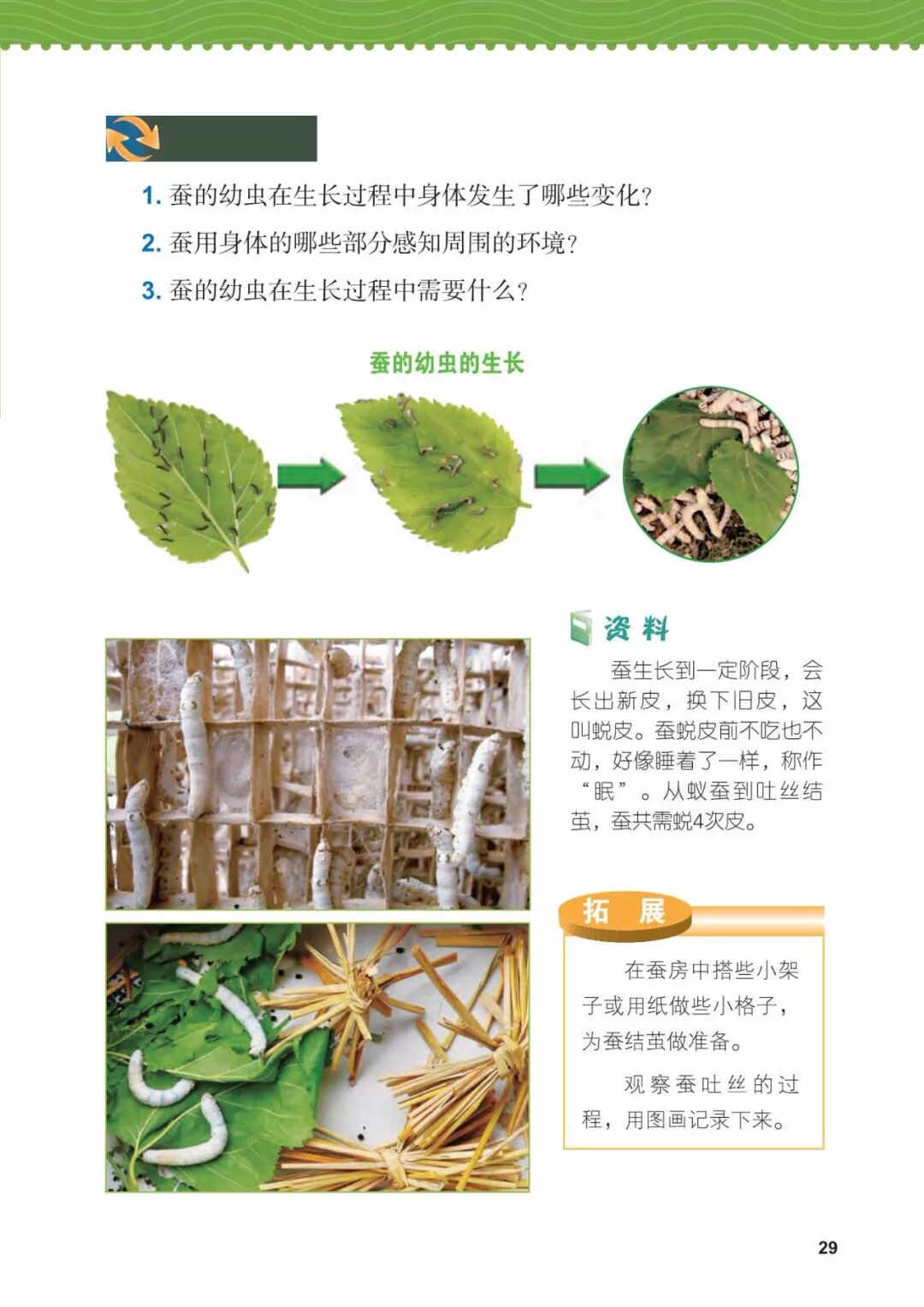 2025教科版科学三年级新教材